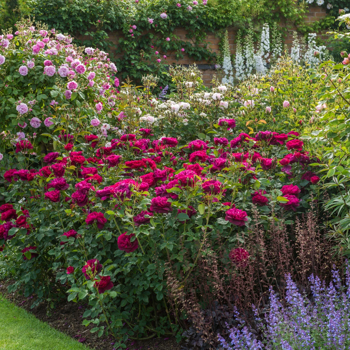 Darcey Bussell® - Image 13