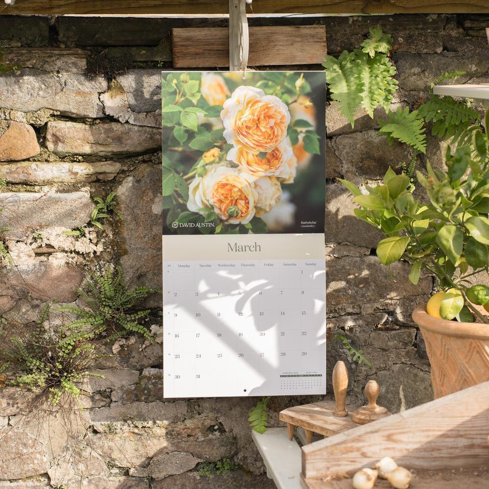 David Austin 2026 Wall Calendar - Image 7