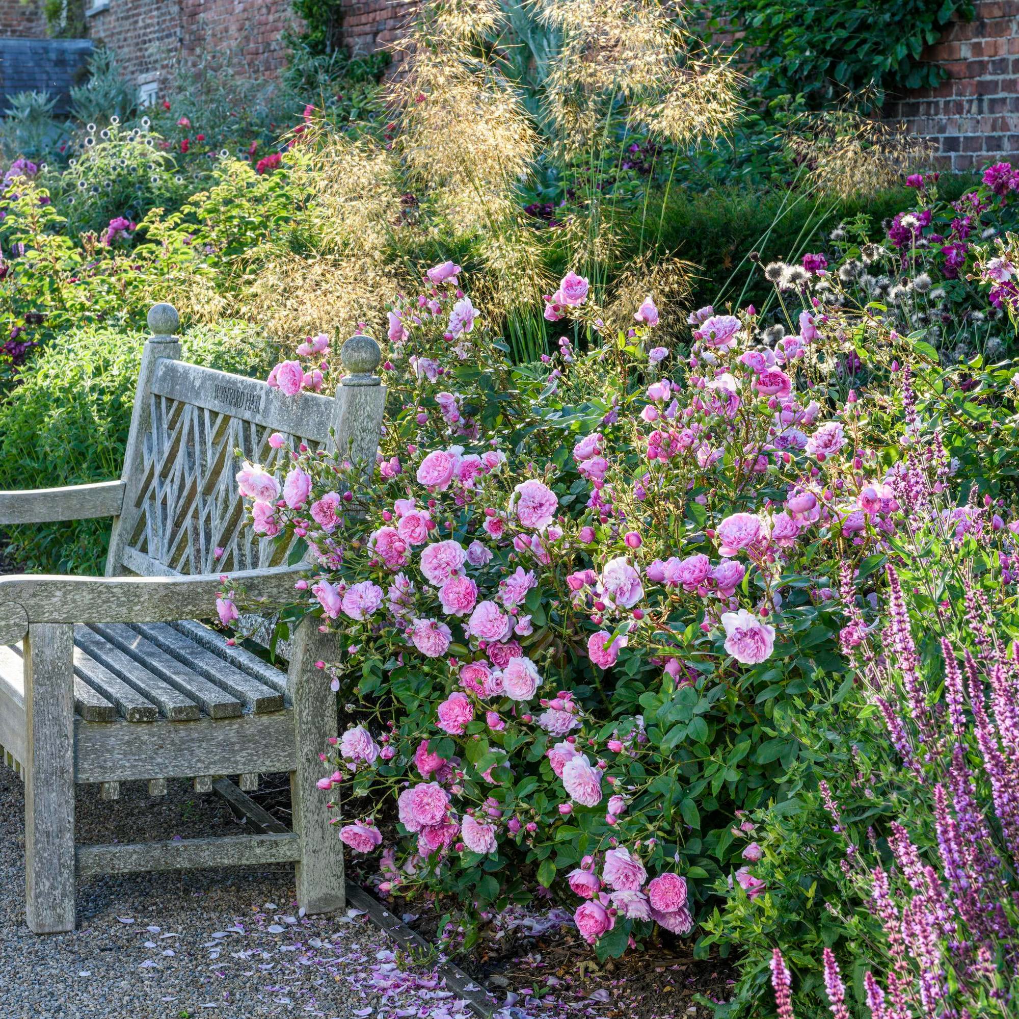 Harlow Carr® - Image 5