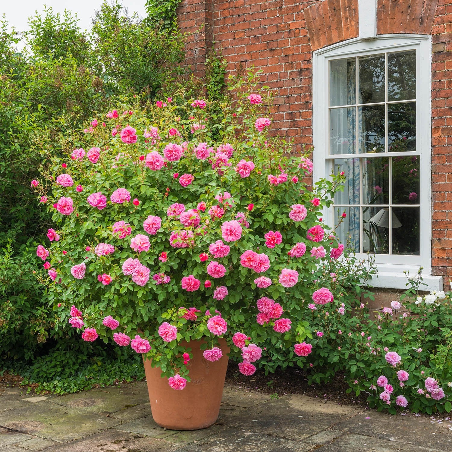 Hyde Hall - Image 11