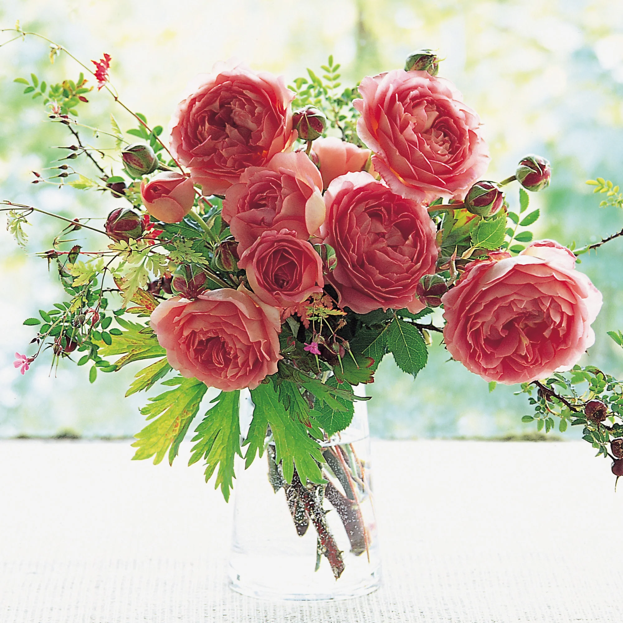 Jubilee Celebration® - Image 4