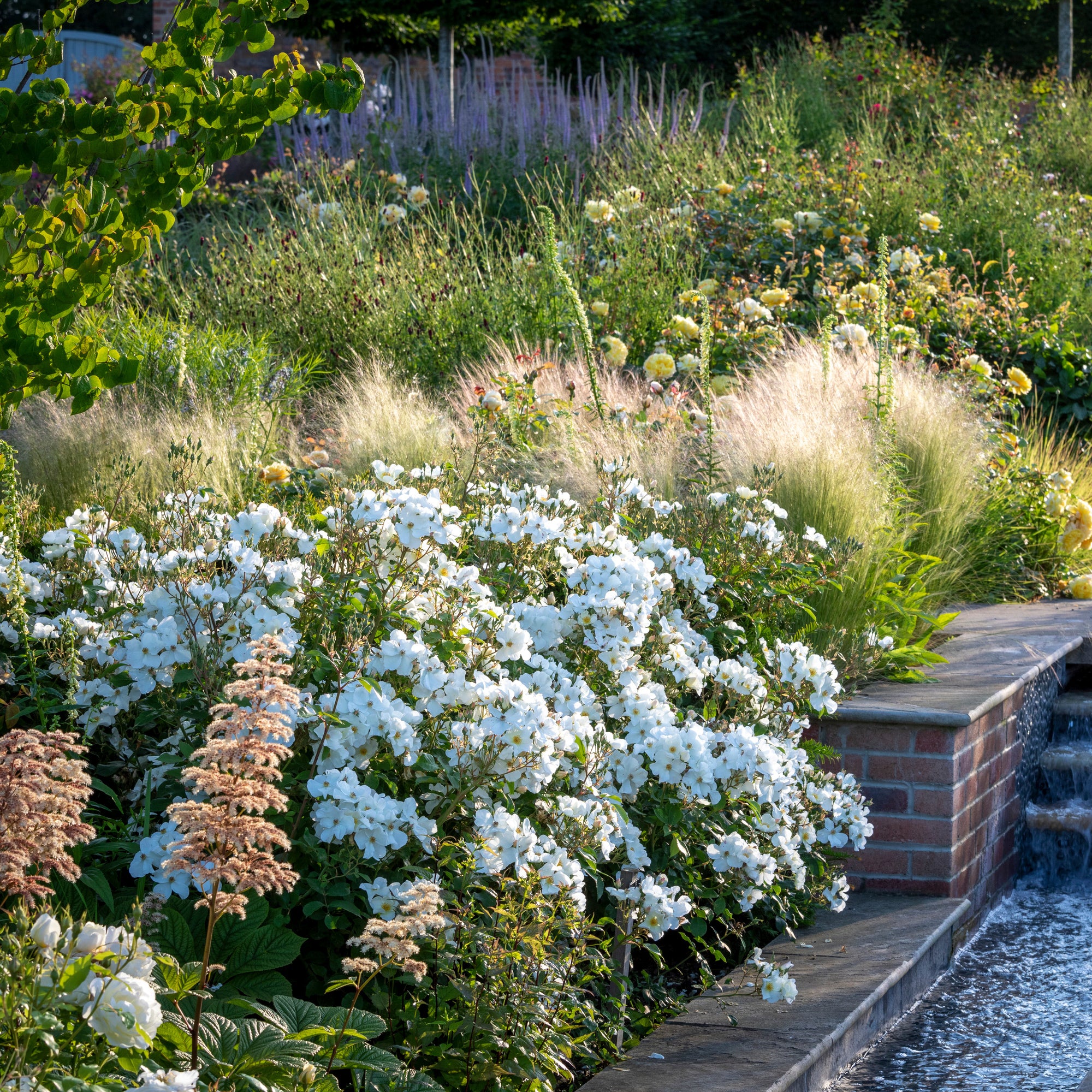 Kew Gardens - Image 5