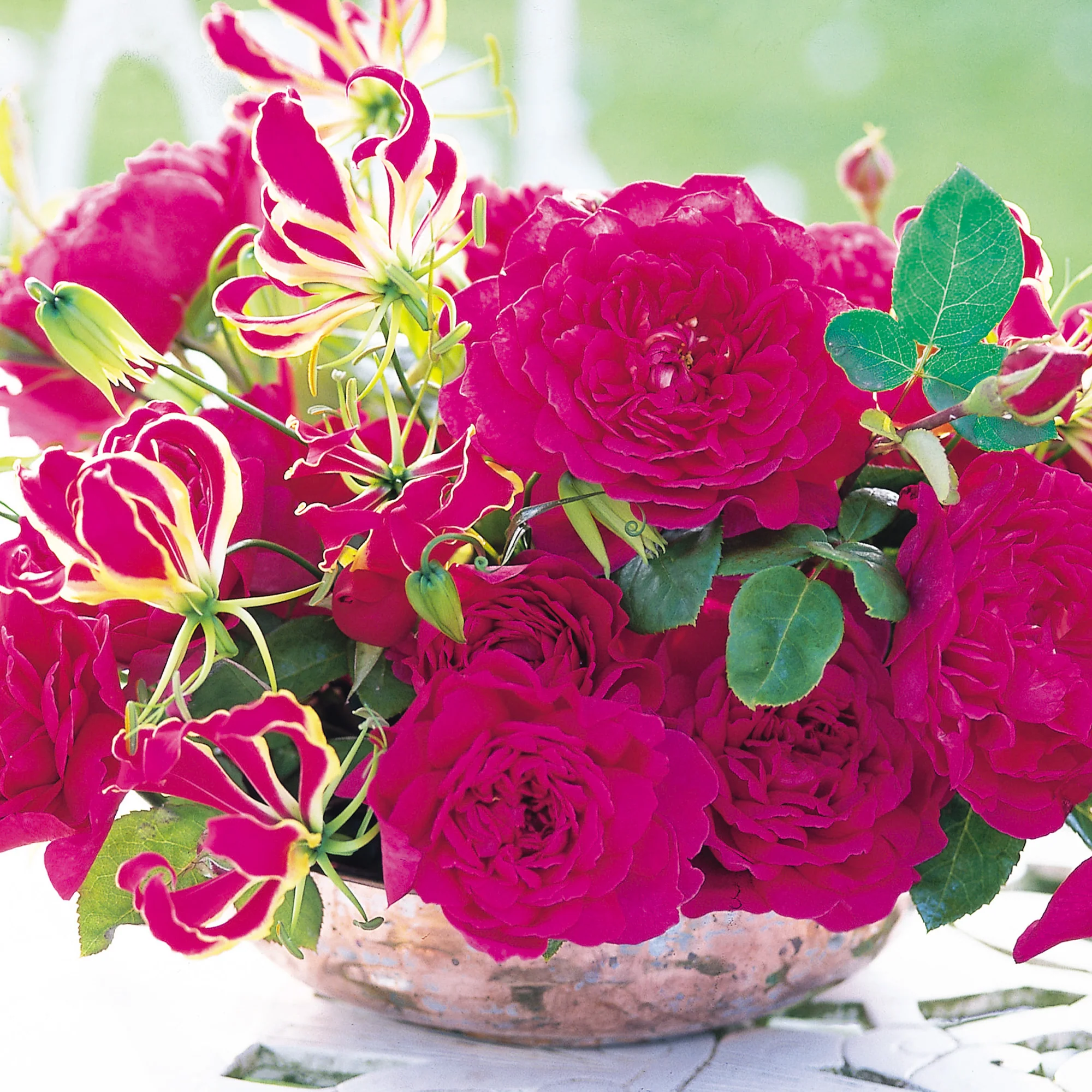 Sophy’s Rose - Image 6
