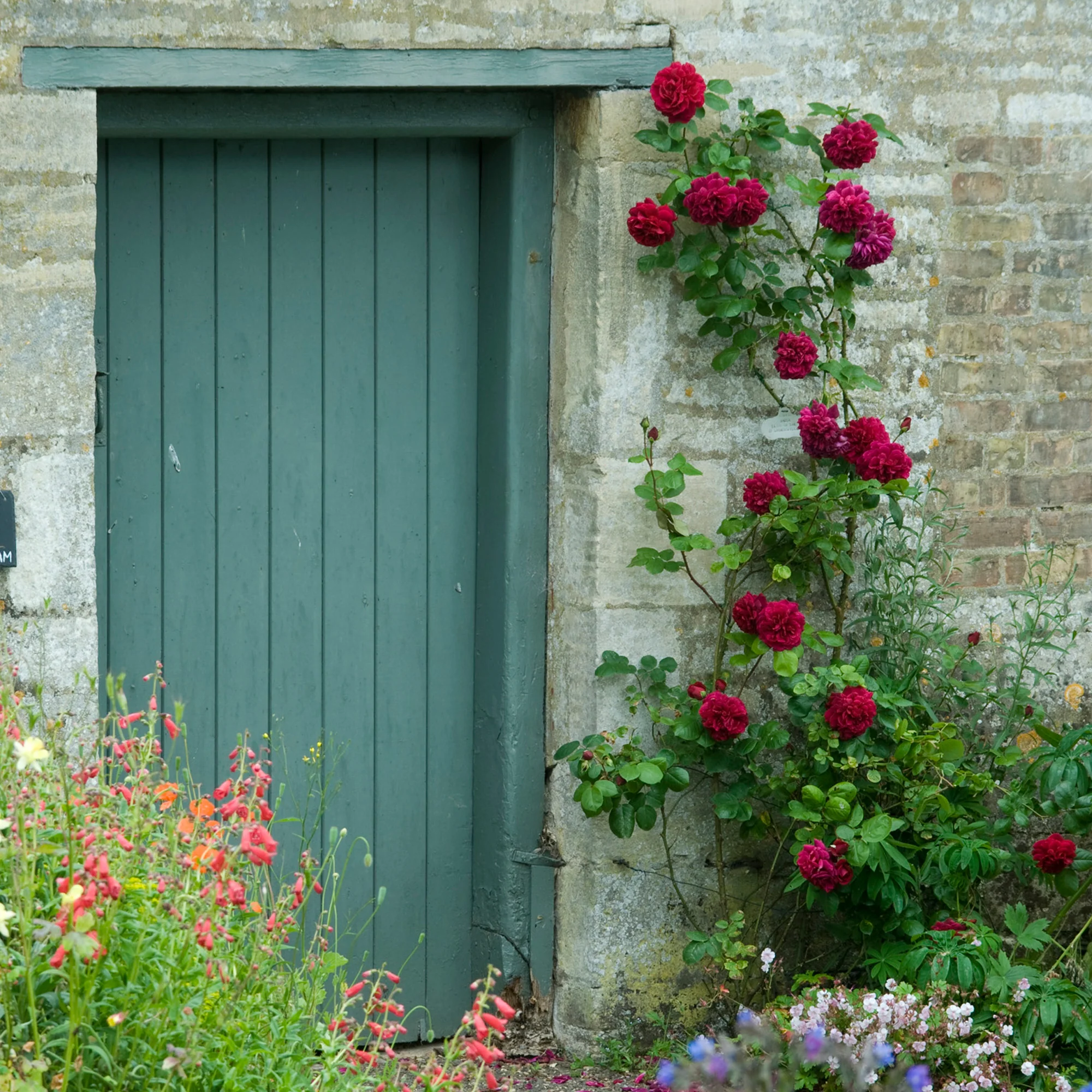 Tess of the d’Urbervilles® - Image 3