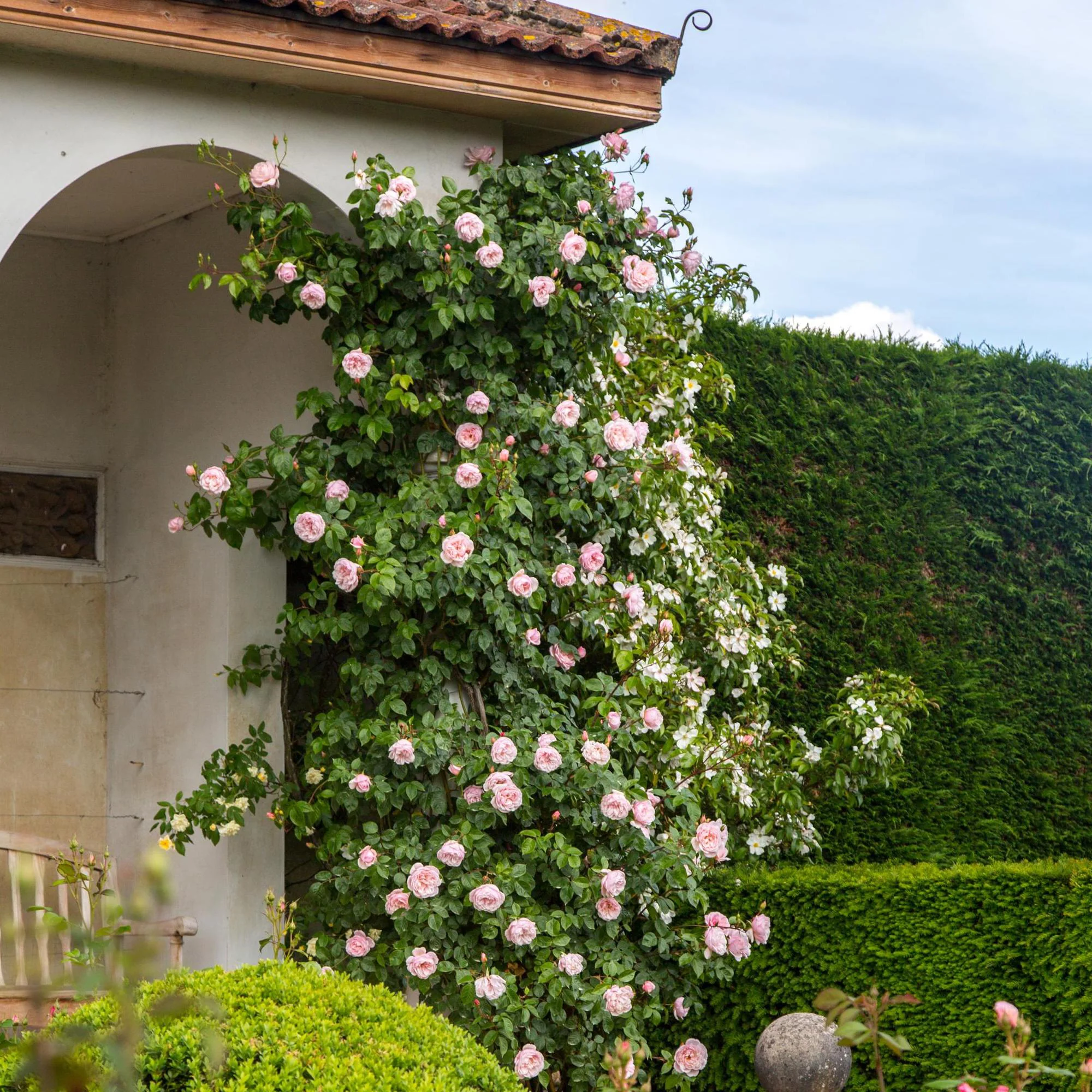 The Generous Gardener® - Image 5