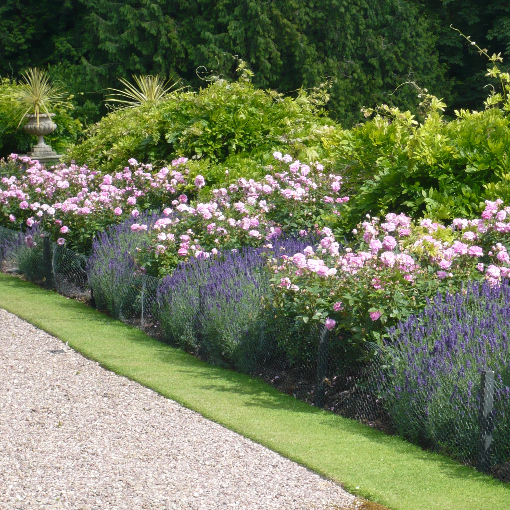 The Mayflower® - Image 5